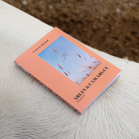 Livre guide Arles-Camargue