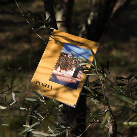 Livre guide Puglia