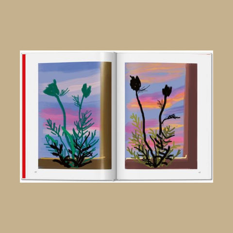 David Hockney – My Window