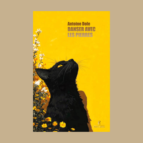 Danser avec les pierres