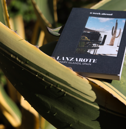 Livre guide Lanzarote